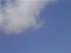 PICT1846.JPG